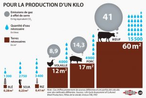 1 kilo